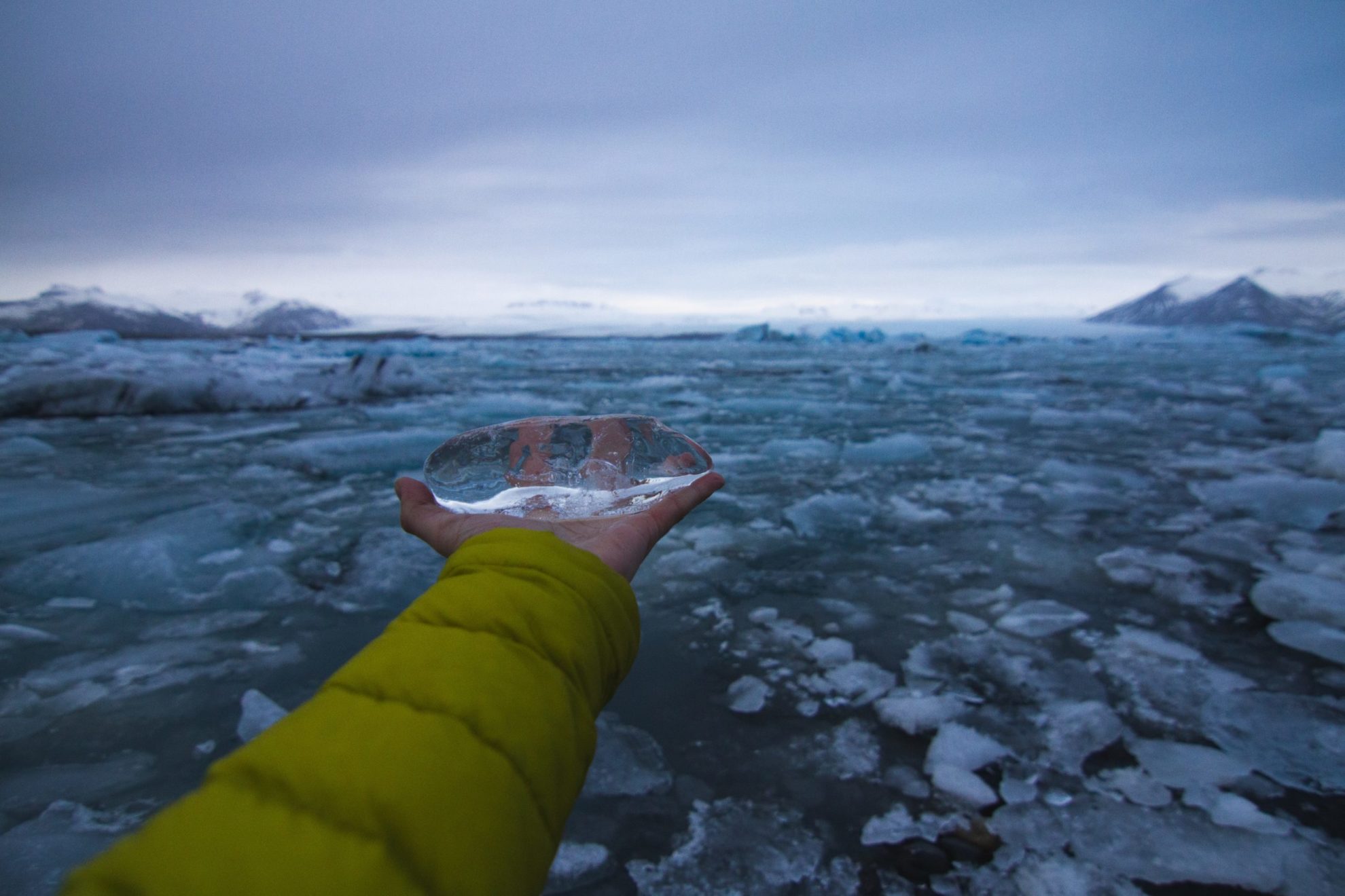arctic sea ice